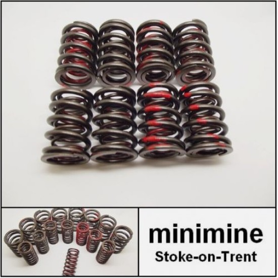 998cc Uprated Double Valve Spring Set