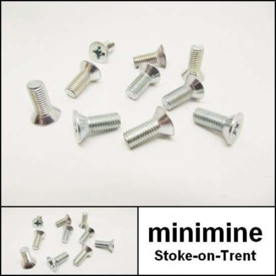 Internal Door Hinge Screw Set of 10