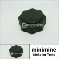 MPi Expansion Tank Cap