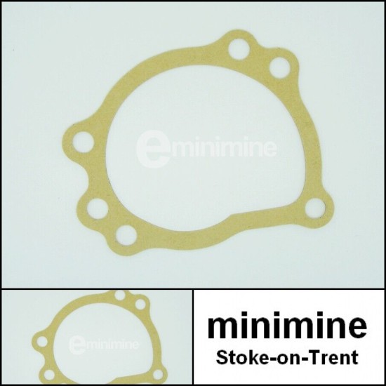 Water Pump Gasket