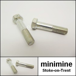 Steering Arm Bolt PAIR